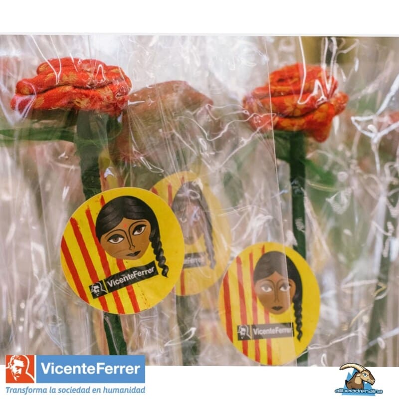 🌹🌹🌹ROSES SOLIDÀRIES 🌹🌹🌹