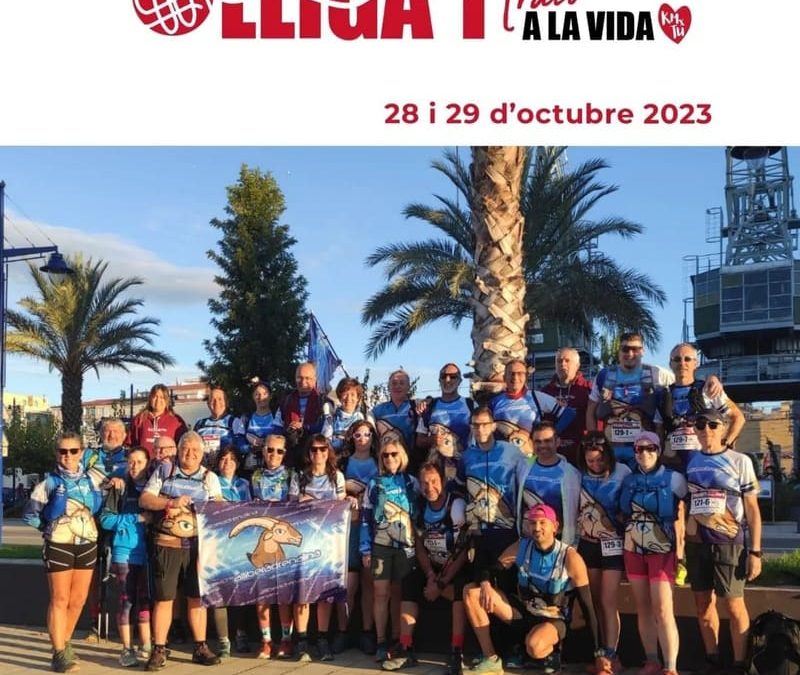 Lliga’t a la vida!!